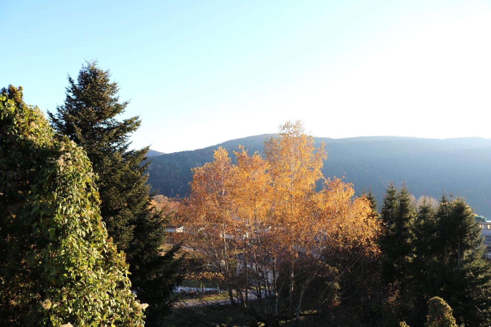 Top Five See & Bergblick - Haus Seepromenade Döbriach Extérieur photo
